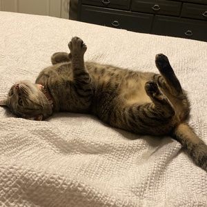 Meet your Posher, Alyssa